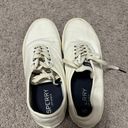 Sperry Top Sider Shoes Photo 2