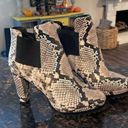 All Saints SARRIS heeled bootie Photo 2