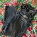 American Eagle Stretch Mom Straight Jean Photo 1