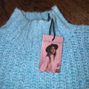 Sincerely Jules  Turtleneck Sweater NWT Photo 4