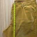 Pilcro  Tan Corduroy Slim Boyfriend Crop Pants - Size 22W Photo 8