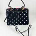 Krass&co Clever Carriage  Satchel Rose Embroidered Purse Polka Dot Dust Bag Black Photo 1
