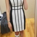 Calvin Klein Black And White Professional Dress Photo 0