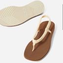 Everlane Balsa Lycra Swim Sandals Size 8 Photo 2