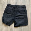 Dynamite Ethos  Renee black shorts Photo 4