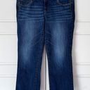 American Eagle  Artist Crop Jeans 14 Womens Studs Stretch Medium Wash Denim Ankle Photo 0