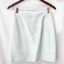 Isabel Ardee Vintage Checkered Skirt  Photo 0