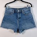 Hudson Jeans Hudson Jean Denim Cara Classic Shorts Raw Hem Button Fly 100% Cotton Size 29 Photo 0