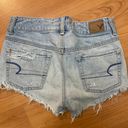 American Eagle Outfitters Shorts Photo 1