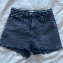 Abercrombie & Fitch Shorts Photo 0