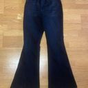 Vervet Flying Monkey Black High Rise Western Coastal Cowgirl Boho Hippie Flare Jeans 29 Photo 4