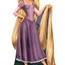 Rapunzel Halloween Costume Purple Photo 2