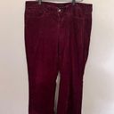 Tommy Hilfiger  Maroon Corduroy Bootcut Pants - Size 10 Photo 0