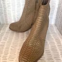 Joie  Snakeskin boots size 7.5 Photo 0