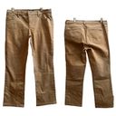 Ralph Lauren LRL Lauren  Tan Modern Straight Leg Jean Size 14 Petite Tan Photo 12