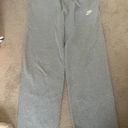 Nike Gray Sweatpants Photo 0