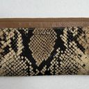 Coach  Madison Python Snake Print Zippy Wallet Wristlet Light Gold Natural Beige Photo 3