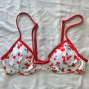 Cherry Bikini Top Red Photo 0