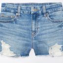 American Eagle Next Level Curvy High-Waisted Shorts Photo 2