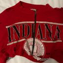 LF Furst of a Kind Vintage Distressed Cropped Sweatshirt Indiana Hoosiers Photo 1