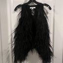 Elizabeth and James  Ostrich Feather Vest, New Photo 1