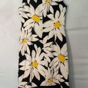 Ronni Nicole Floral Dress // Daisy print // size 4 Photo 3