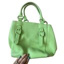 DKNY  Pistachio Green Pebble Leather Satchel Bag Photo 1