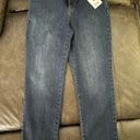 Gloria Vanderbilt  Womens Amanda Classic Rise Tapered Jean Petite Size 10P Short Photo 3