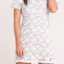 Lush Clothing Lush Puff Sleeve Crochet Lace Mini Dress White Size Medium NWT Photo 1