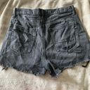 American Eagle Outfitters Shorts Photo 1