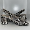 Seychelles  Playwright Snake Print Block Heel Slingback Peep Toe Sandals 7.5 Photo 4