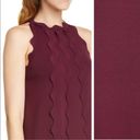 Ted Baker  Rickrack Scalloped Rianori Shift Dress NWT in Size 5 (12) Photo 10