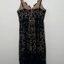 Entro Black and Tan Lace Spaghetti Strap Midi Dress Photo 6