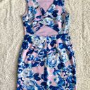 Betsey Johnson Floral Sleeveless Cut Out Back Dress Size 8 M Pink Blue Y2K Roses Photo 5