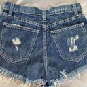 Carmar Denim Cut Out Shorts Photo 10