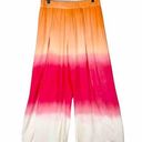 Young Fabulous and Broke  Carmen Ombre Wide Leg Tulip Pants Size Large Split Leg Photo 0