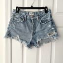 AGOLDE Parker Vintage Distressed Cut Off Denim Shorts in Swapmeet 26 Photo 1