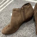 Charlotte Russe Brown Zipper Booties Photo 1