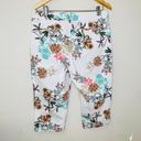 st. john's bay  Tropical Print Capri Pants Size 14 Photo 4