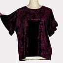 Z Supply  Crushed Velvet Ruffle Sleeve Blouse Crop Knit Top Maroon S Photo 1