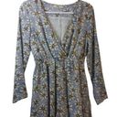 Daisy Into Blue Floral  Print Long Sleeve Dress Size 8 Photo 0