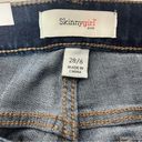 Skinny Girl  Seamed Reagan High Rise Skinny Fit Ankle Indigo Jean Size 28/6 New! Photo 7