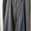 Lane Bryant  NWT Capri pants  Photo 0