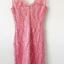 BB Dakota Pink Lace Floral Mini Dress Photo 6