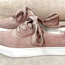 ALLSAINTS Bella Suede Leather Low Top Platform Sneakers Photo 4