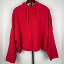 Oak + Fort  Red Cropped Knit Pullover Hoodie Sweater Photo 0