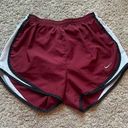 Nike Dri-Fit Shorts Photo 0