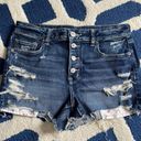 American Eagle Outfitters Denim Shorts Photo 0