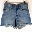 Abercrombie & Fitch  High Rise Dad Short 5 inch inseam distressed raw hem size 26 Photo 1