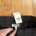 Aerie NWT  Gray Cargo Baggy Pants Sz S Photo 1